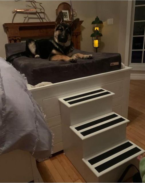 Elevated Dog Bed with Stairs