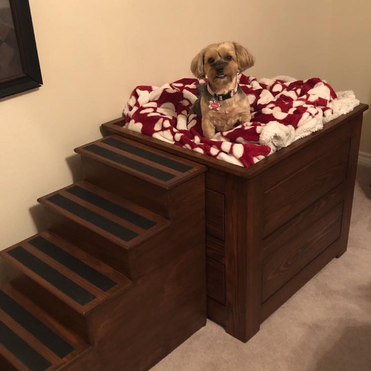 Elevated dog bed next to hot sale human bed