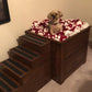 Elevated Dog Bed with Stairs